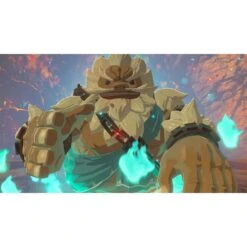 Nintendo Switch The Legend Of Zelda: Breath Of The Wild -PlayToko Winkel 1397661 002