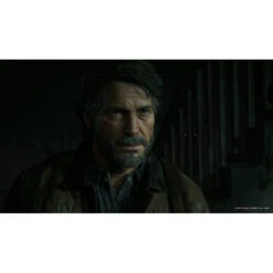 No Brand PS4 The Last Of Us Part II -PlayToko Winkel 1981083 f8418366