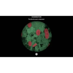 No Brand Nintendo Switch Mijn Leven Dierenarts -PlayToko Winkel 1994316 4c6cda22