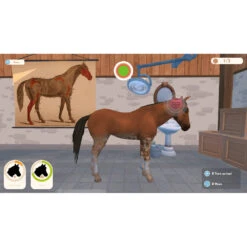 No Brand PS4 Mijn Leven: Paardenwereld 3 -PlayToko Winkel 1996257 e8111948